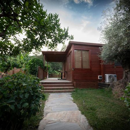 El Jardin Del Eden Villa Orgiva Eksteriør bilde